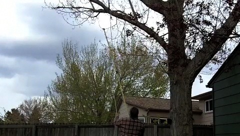 Flibitygiget-3 LowRez.m4v