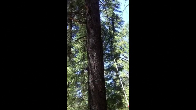 Firewood with Flibitygiget.m4v